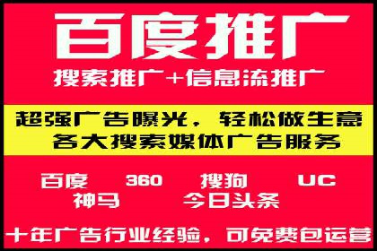 竞价广告的智能投放：XX平台的创新实践